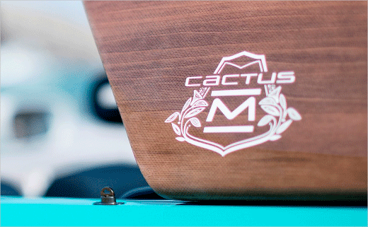 citroen-teases-cactus-m-concept-car-with-logo-design