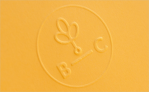 Branch-Creative-logo-design-branding-Noeeko-6