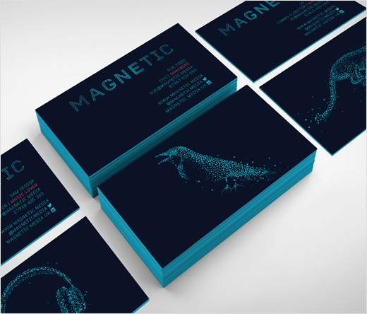 d-studio-logo-design-marketing-body-Magnetic-3