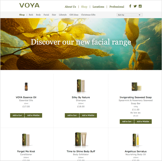 Dragon-Rouge-logo-packaging-design-VOYA-skincare-5