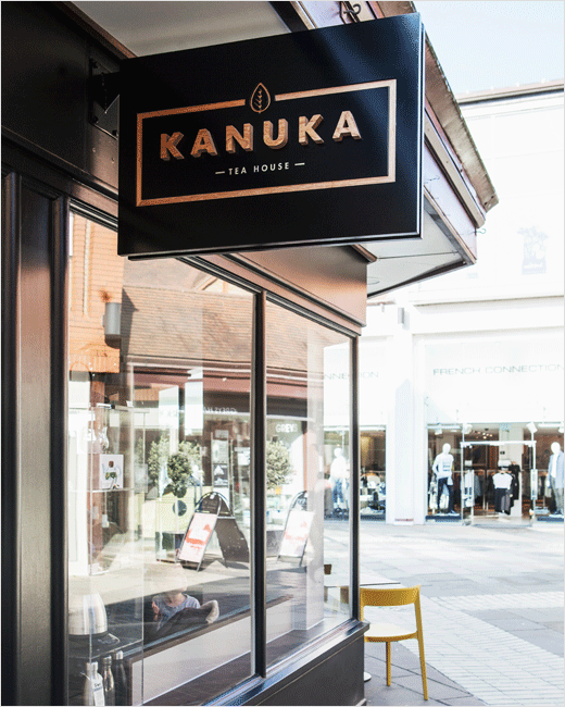 designlsm-logo-design-branding-kanuka-tea-3