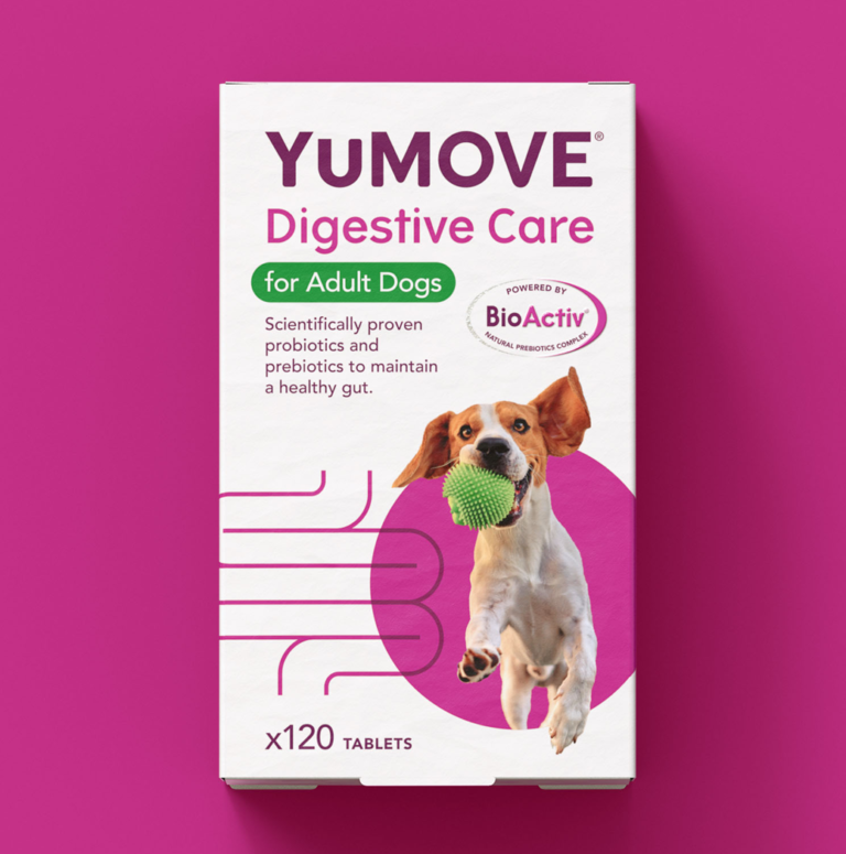 Pet Care Brand YuMOVE Reveals New Logo and Packaging by Robot Food