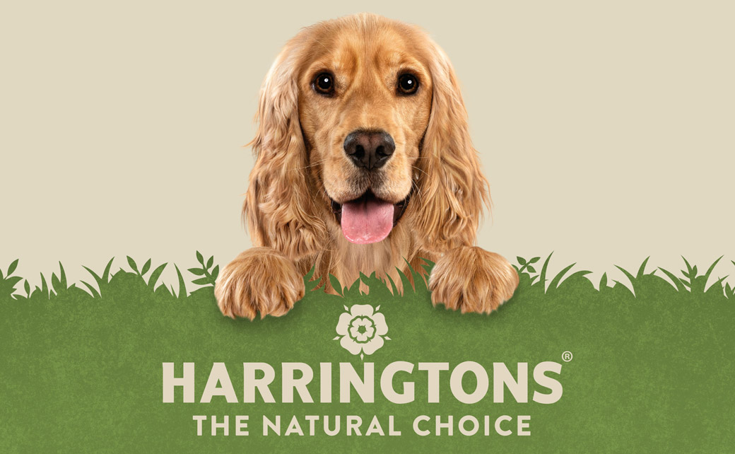 harringtons-pet-food-unveils-new-logo-and-packaging-by-robot-food