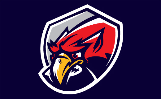 Szczecin-Griffins-american-football-logo-design-branding-eagle-poland-sports-clothing-2
