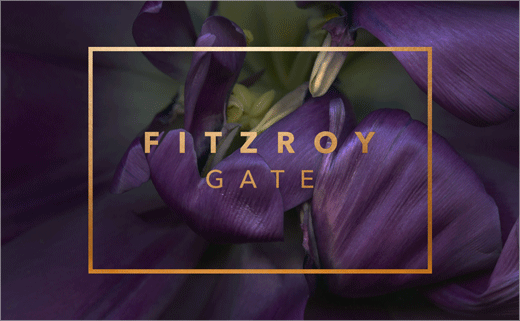 Evolve-logo-design-Fitzroy-Gate-3